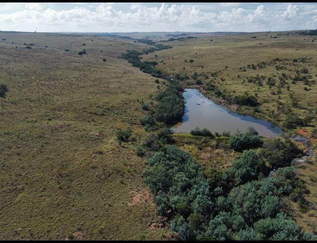 254HA FARM FOR SALE IN MIDDELBURG RURAL